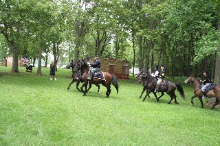 By two's at the trot